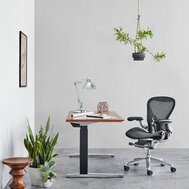 Herman Miller Aeron B exclusive