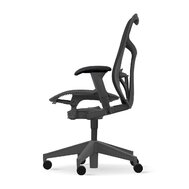 Herman Miller Mirra 2 butterfly